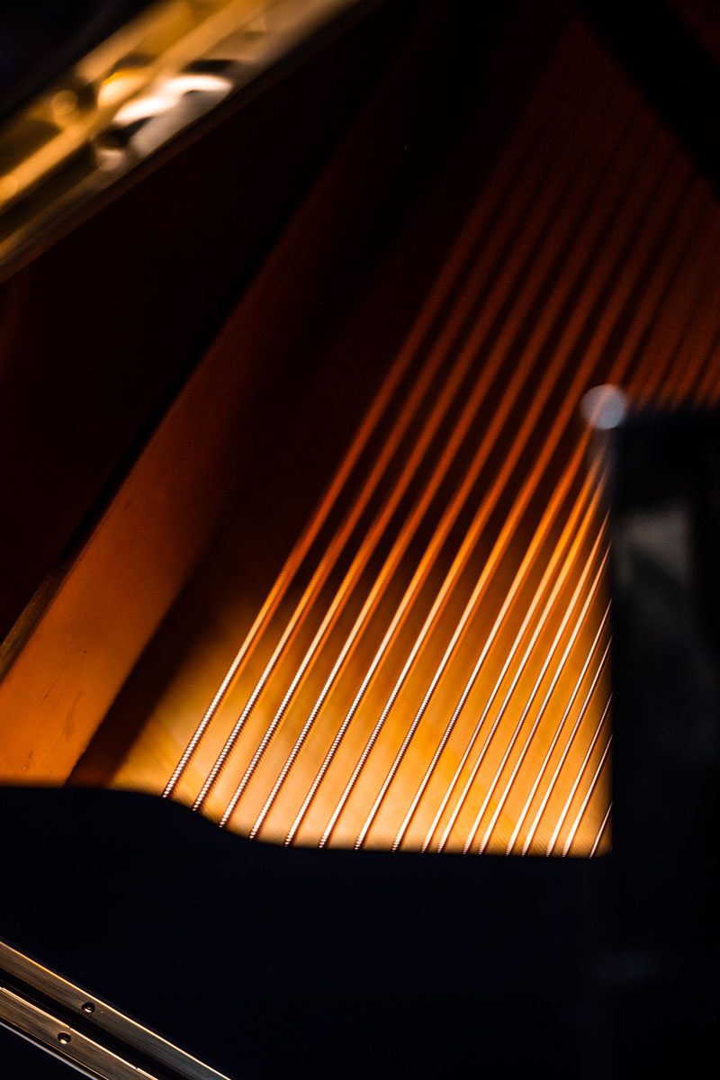 August Förster (Berger) vleugel model 190