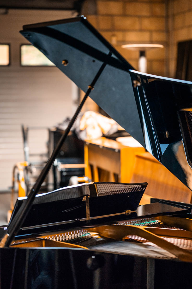 August Förster (Berger) vleugel model 190