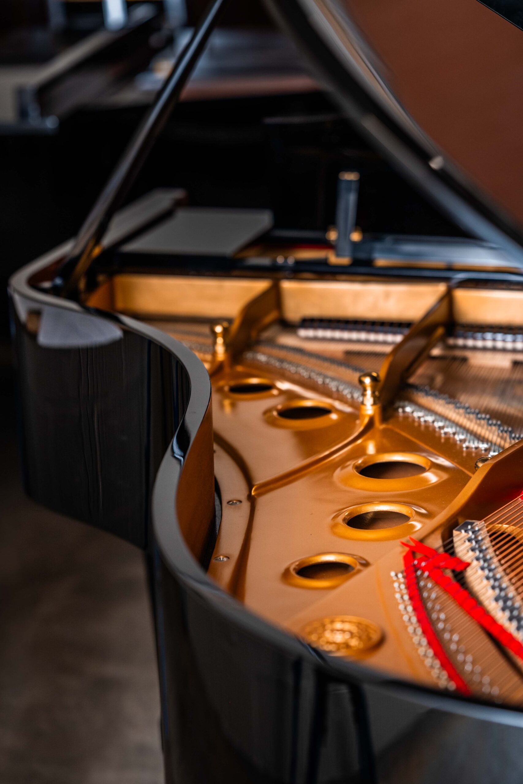Kawai (Hamamatsu, Japan) model R-1