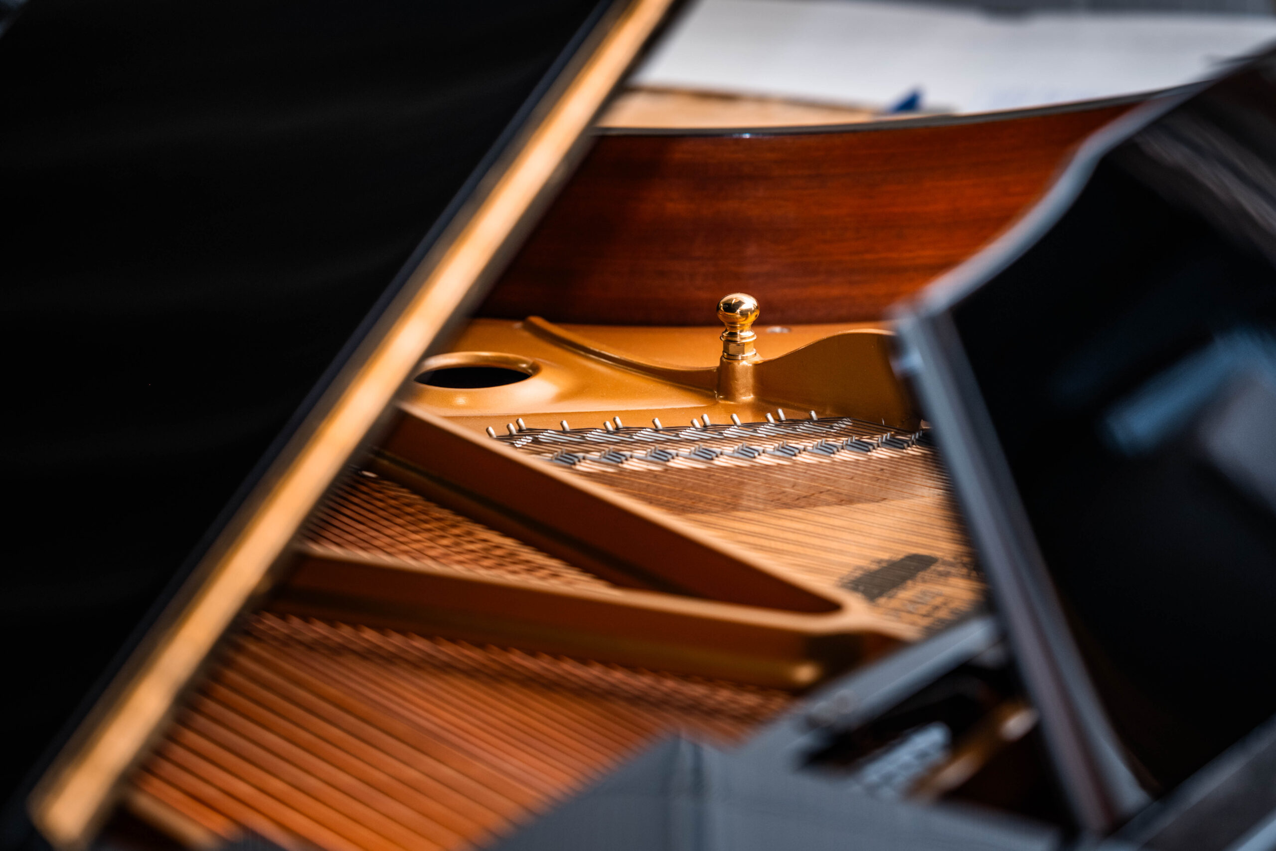 Kawai (Hamamatsu, Japan) model R-1