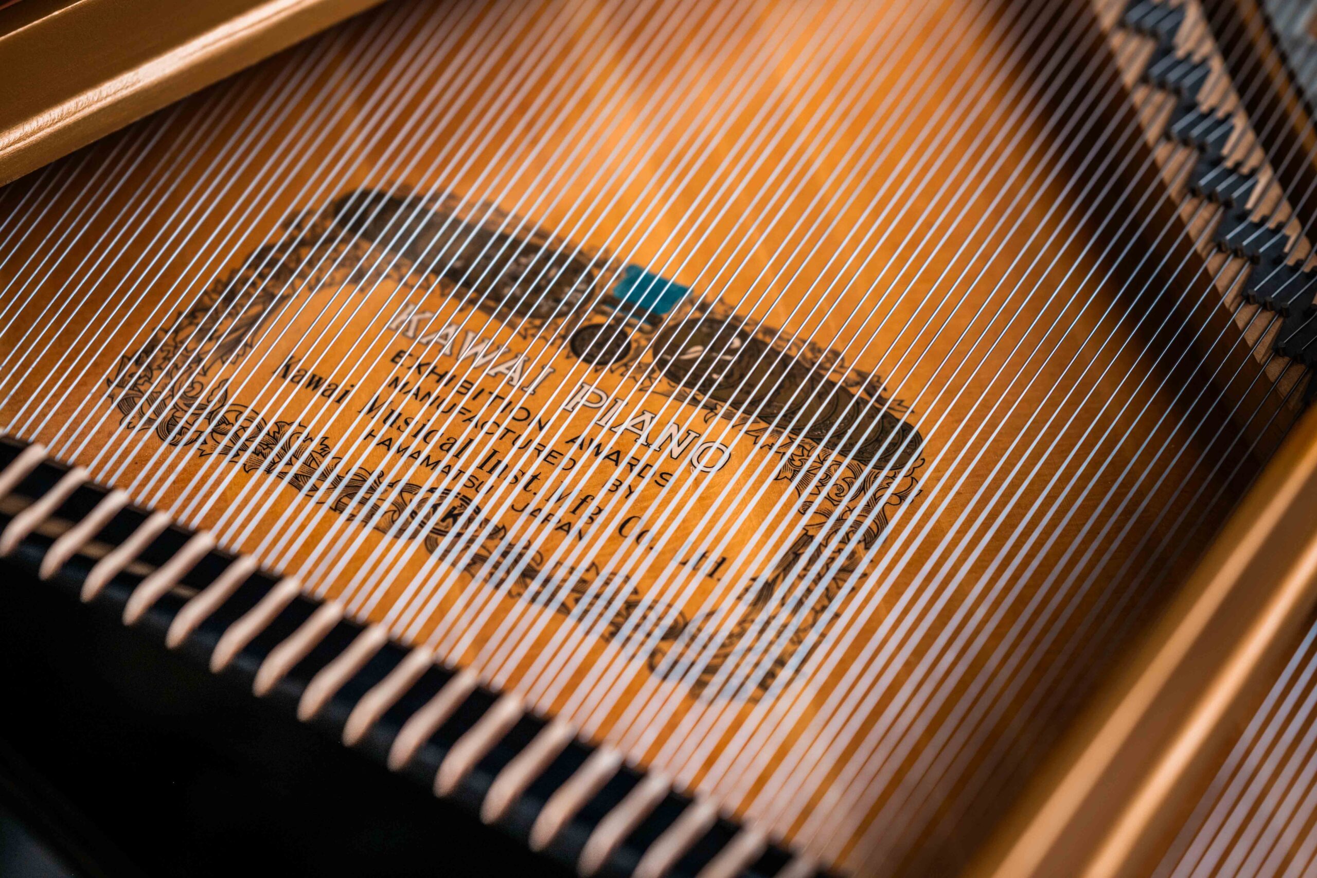 Kawai (Hamamatsu, Japan) model R-1