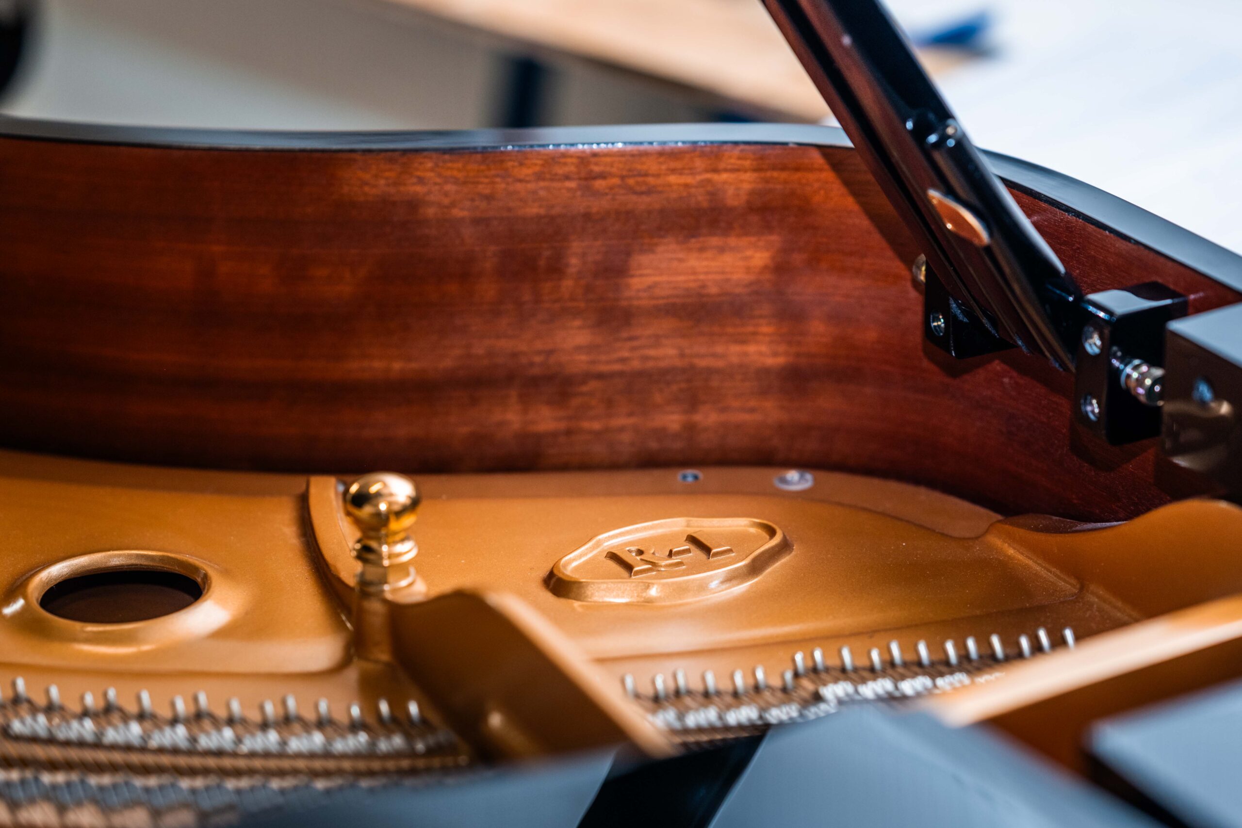 Kawai (Hamamatsu, Japan) model R-1