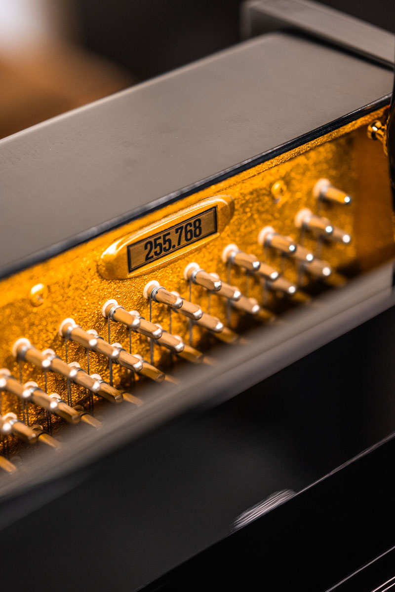 Schimmel 118T Foto 7